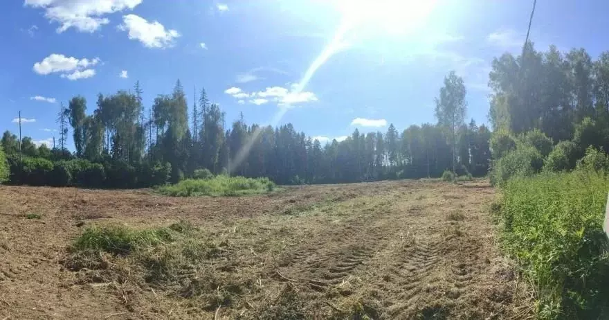 Участок в Московская область, Солнечногорск городской округ, Воробьево ... - Фото 1