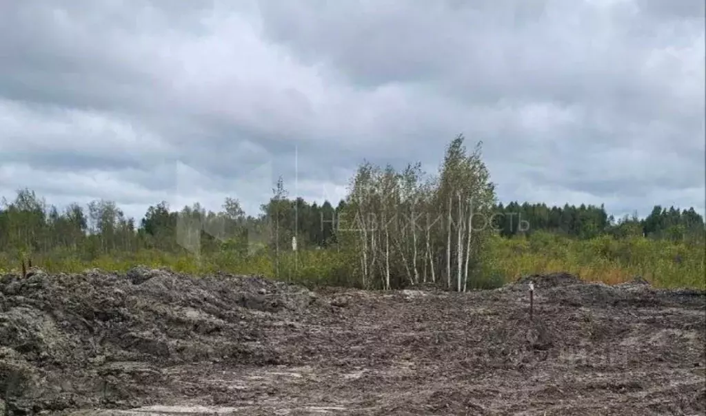 Участок в Тюменская область, Нижнетавдинский район, Сочинское ДНТ  ... - Фото 0