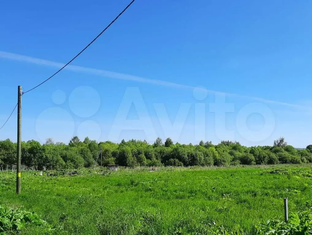Купить Участок В Устье Кубенском Вологодская Область