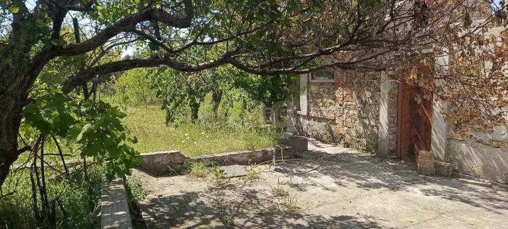 Участок в Крым, Черноморский район, с. Новосельское, Волна СНТ ул. ... - Фото 1