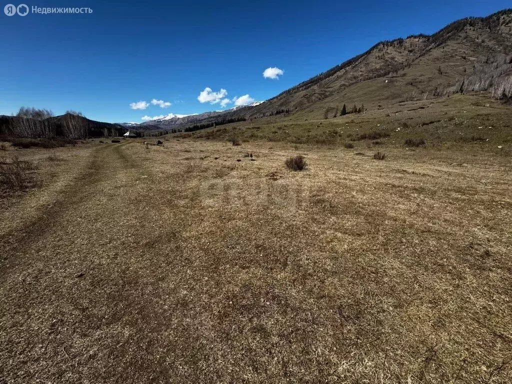Участок в Усть-Коксинский район, село Тюнгур (100.02 м) - Фото 0