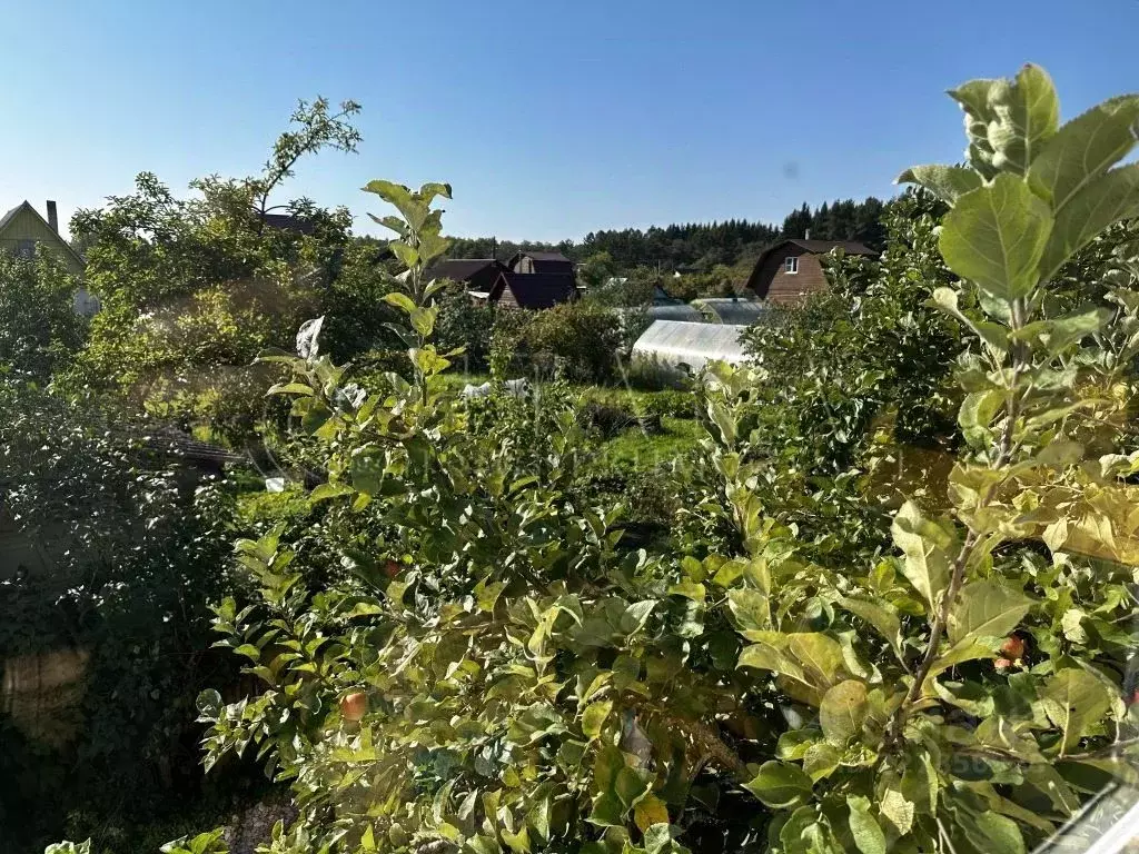 Дом в Ленинградская область, Волхов Восход 6 СТ, ул. Грушевая, 223 (35 ... - Фото 2