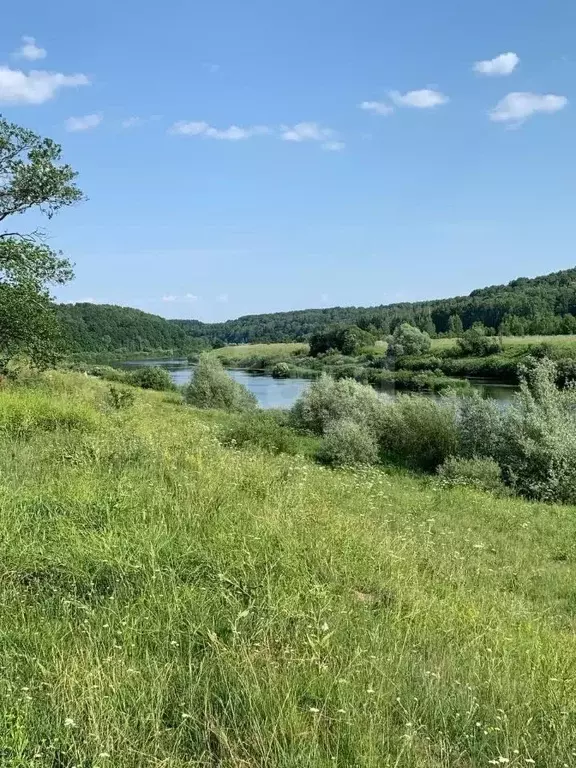 Участок в Калужская область, Дзержинский муниципальный округ, Угорское ... - Фото 2