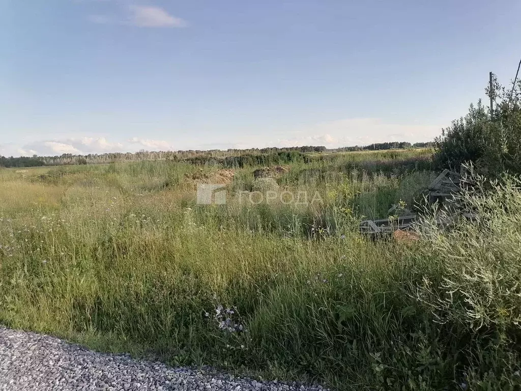 Участок 10,3 сот. (СНТ, ДНП) - Фото 0