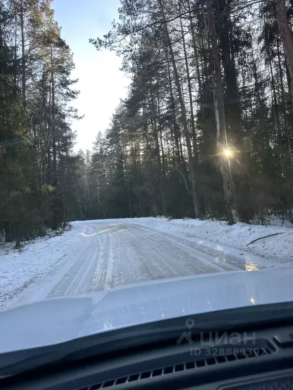 Участок в Новгородская область, Новгородский район, Савинское с/пос, ... - Фото 2