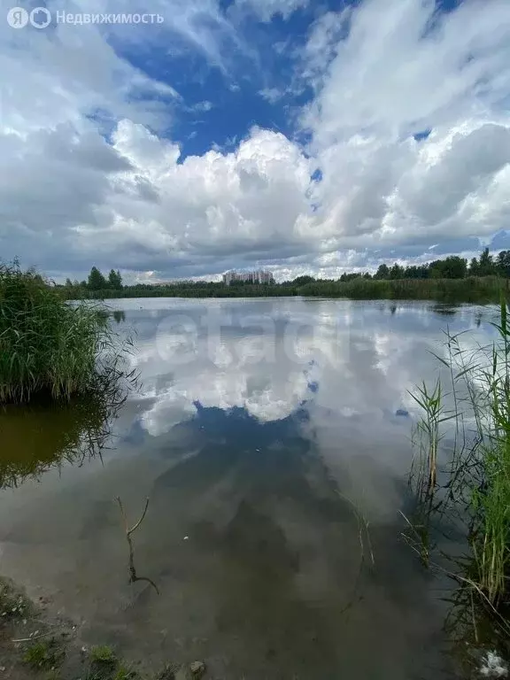 3-комнатная квартира: Металлострой, Садовая улица, 18 (57.5 м) - Фото 0