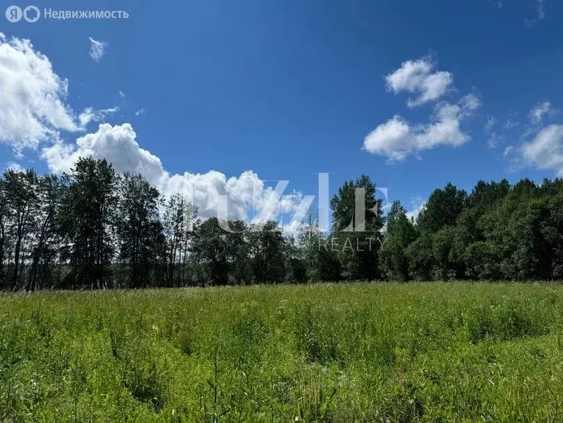 Участок в Владимирская область, Киржачский муниципальный округ, ... - Фото 1