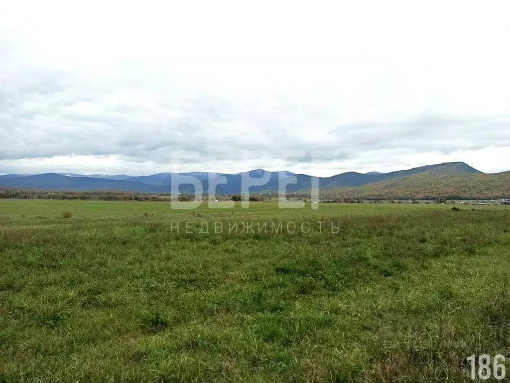 Участок в Севастополь с. Орлиное, ул. Рассветная (100.0 сот.) - Фото 1