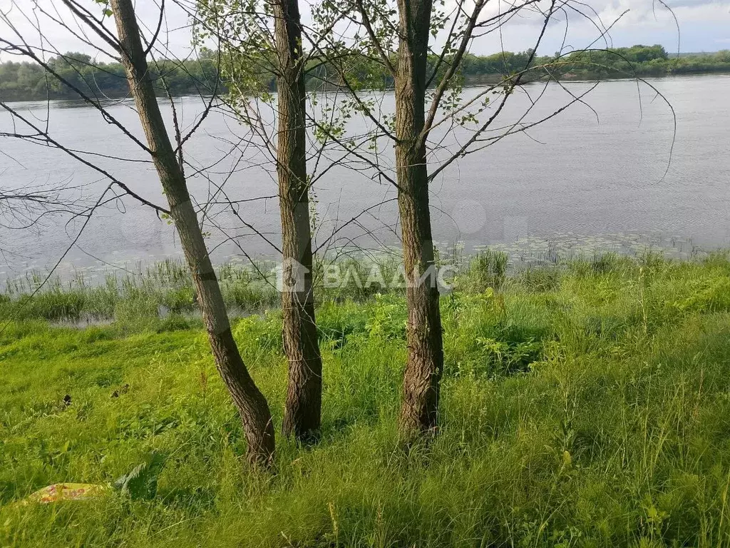 Участок 20 сот. (СНТ, ДНП) - Фото 0