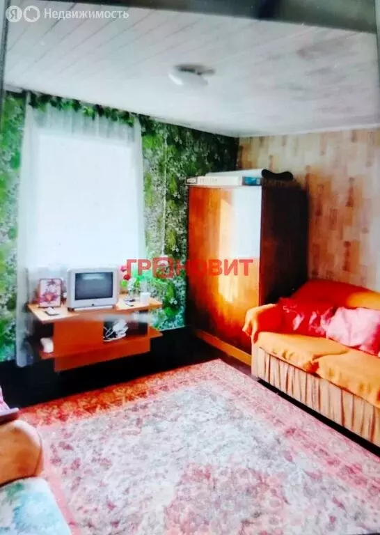 Дом в село Лебедёвка, Центральная улица, 43 (53 м) - Фото 0