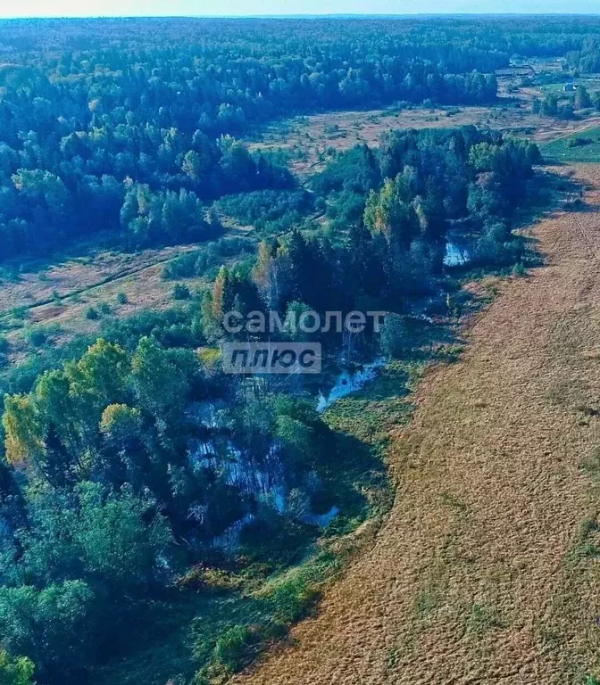 Участок в Московская область, Клин городской округ, Вельга Парк кп ул. ... - Фото 2
