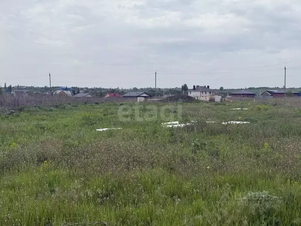 Участок в Воронежская область, Семилукский район, с. Девица ... - Фото 1
