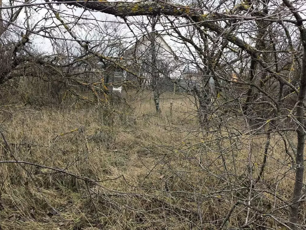 Участок в Крым, Симферопольский район, Урожайновское с/пос, СТ ... - Фото 1