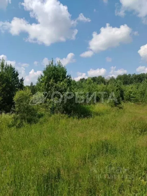 Участок в Тюменская область, Нижнетавдинский муниципальный округ, д. ... - Фото 1