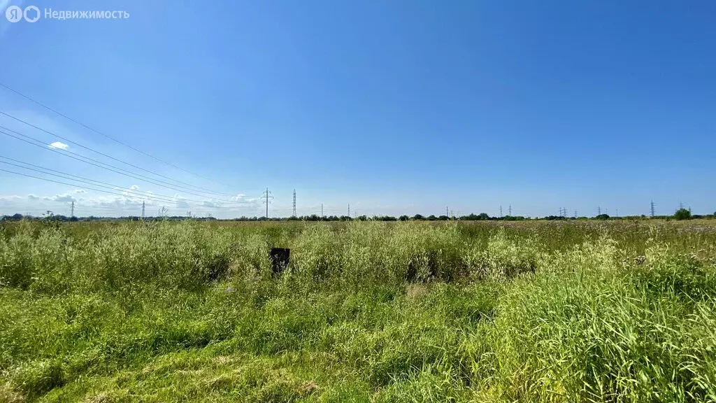 Участок в Архангельская область, Приморский муниципальный округ, ... - Фото 2
