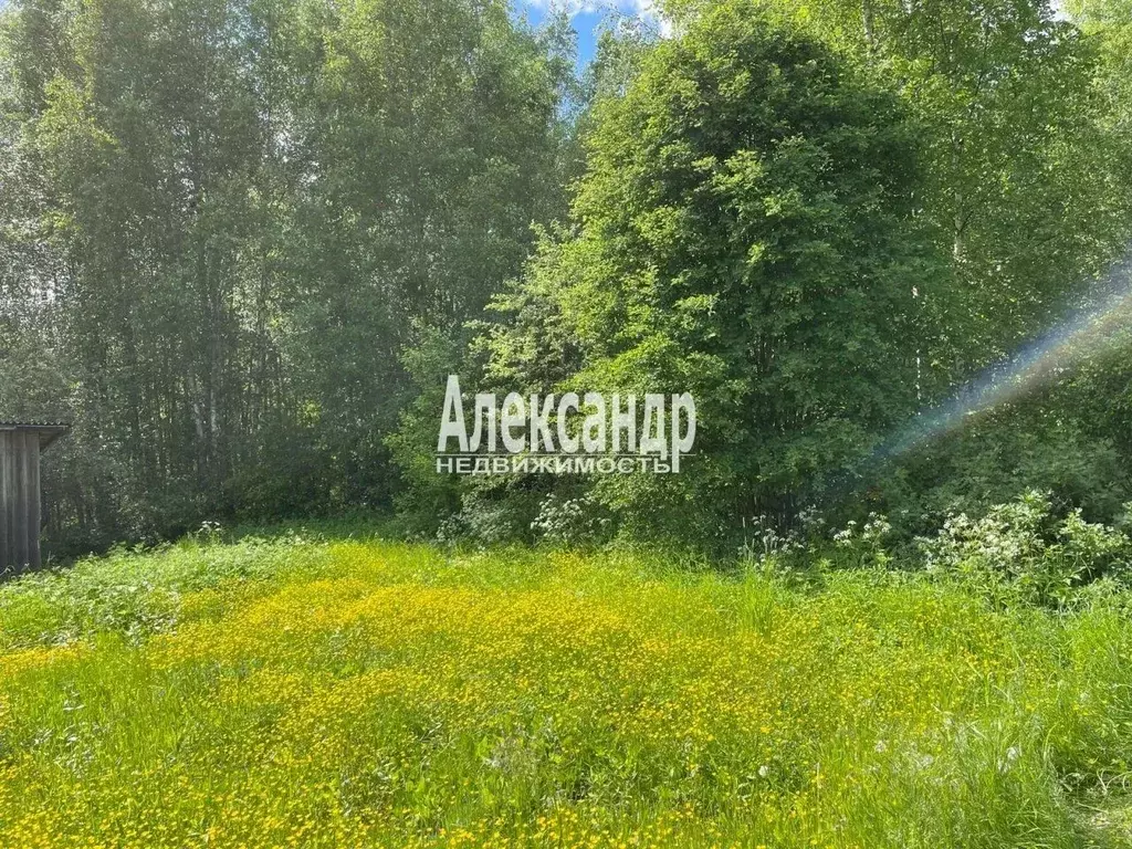 Участок в Ленинградская область, Выборг Подсобное СНТ, пер. 3-й ... - Фото 1