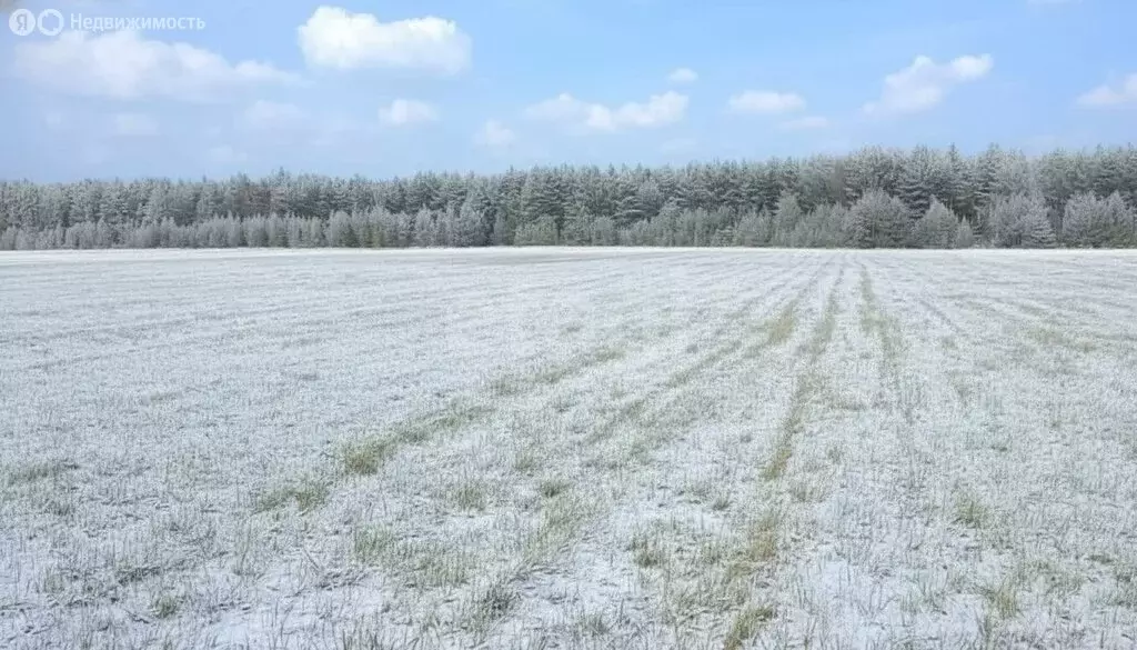 Участок в Щёкинский район, сельское поселение Яснополянское, село ... - Фото 2
