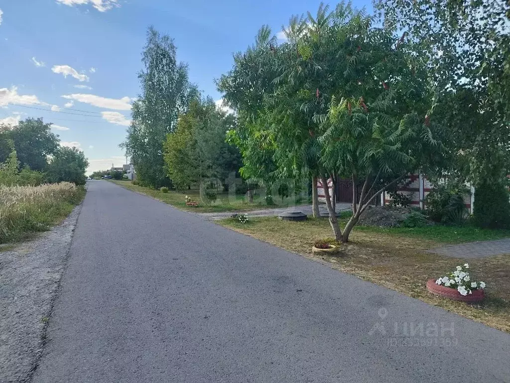 Участок в Воронежская область, Новоусманский район, пос. Отрадное ул. ... - Фото 1