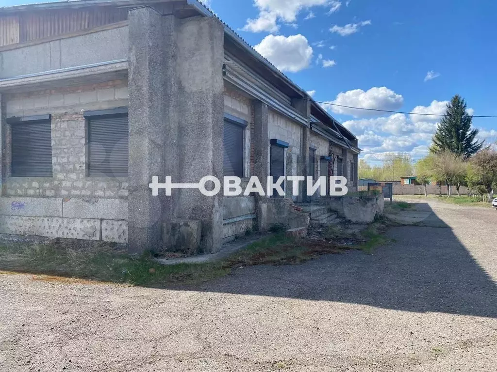 Сдам помещение свободного назначения, 500 м - Фото 1