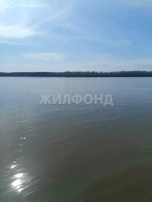 Участок в Кубовинский сельсовет, садоводческое товарищество Лесная ... - Фото 2