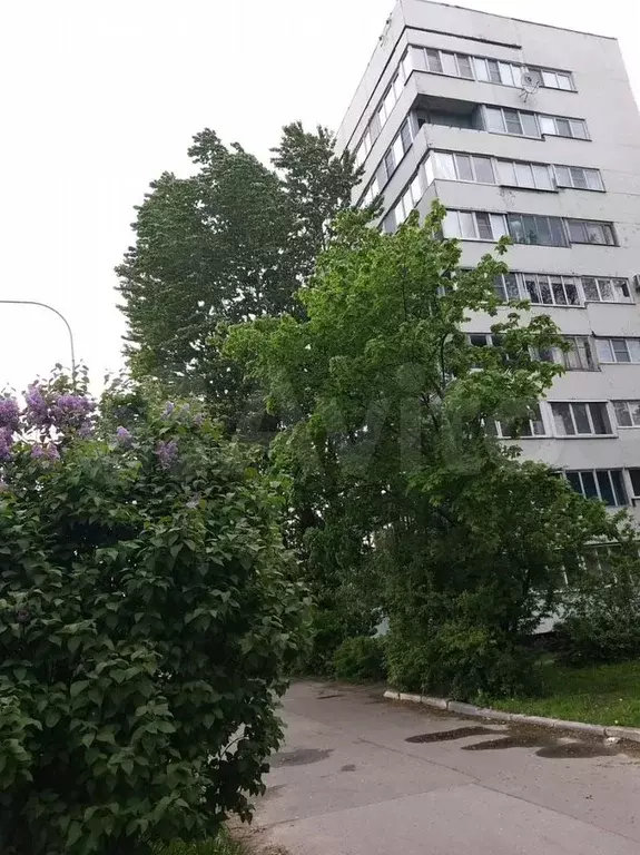 1-к. квартира, 30,9 м, 7/9 эт. - Фото 1