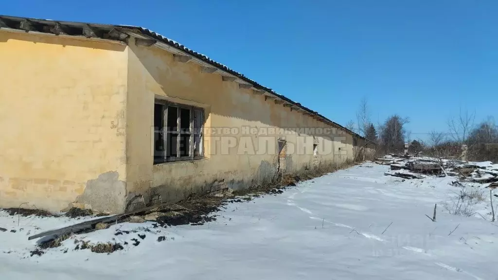 Помещение свободного назначения в Смоленская область, Смоленский ... - Фото 1