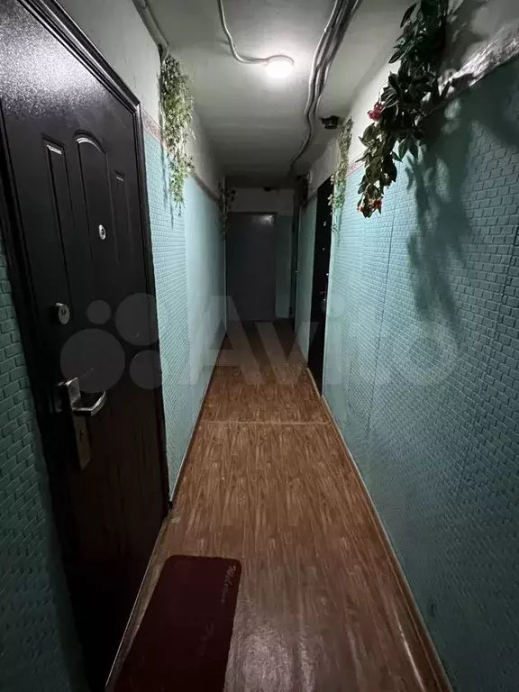 1-к. квартира, 18,7 м, 3/5 эт. - Фото 0