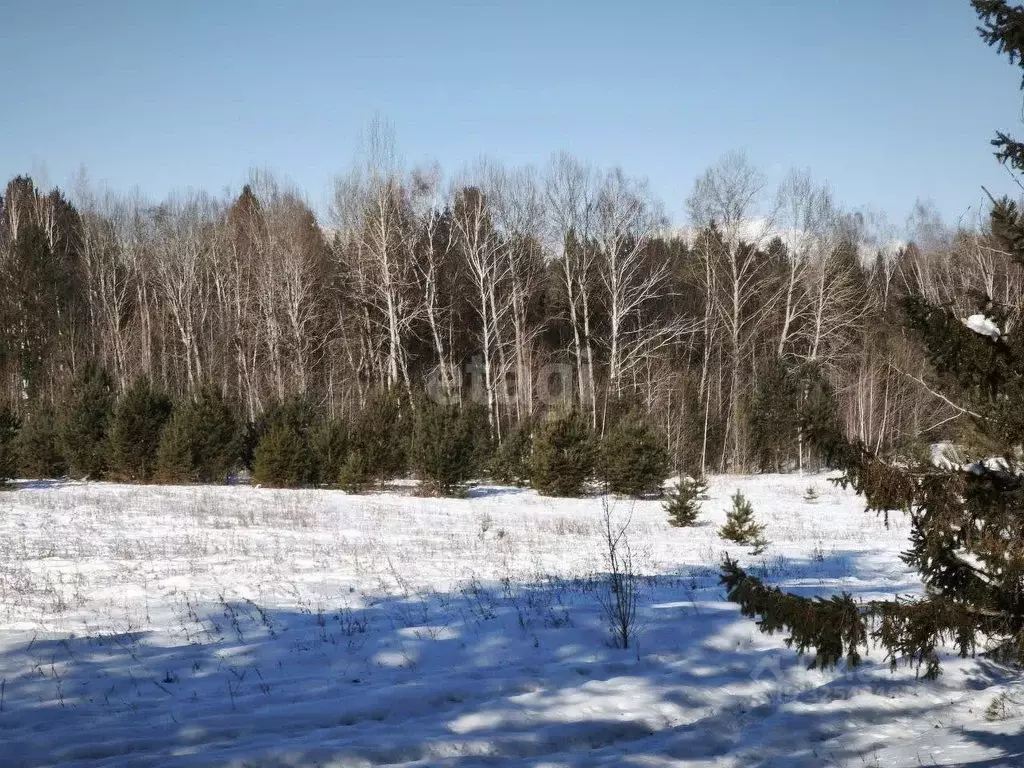 Участок в Бурятия, Тункинский район, с. Жемчуг  (28.4 сот.) - Фото 1