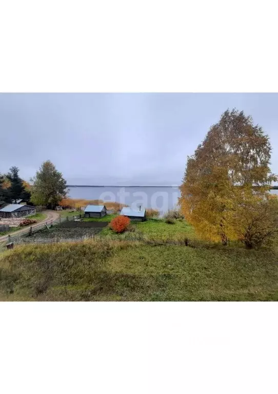 Помещение свободного назначения в Вологодская область, Белозерский ... - Фото 1