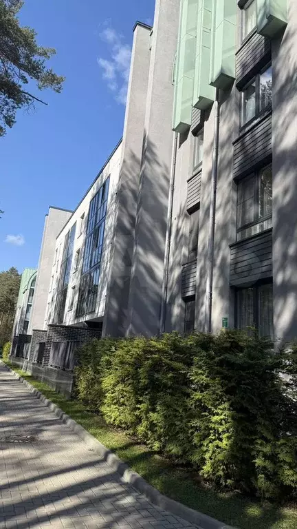Квартира-студия, 55 м, 3/5 эт. - Фото 1