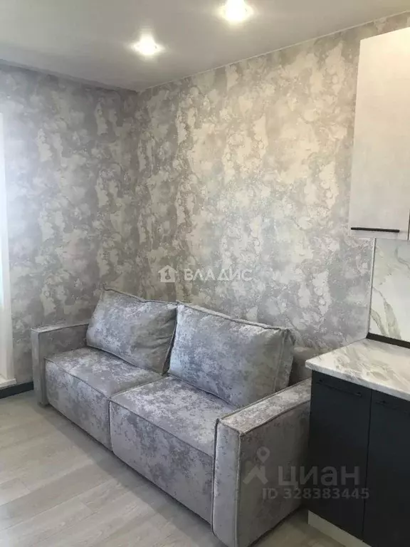 Студия Владимирская область, Владимир Северная ул., 2Б (21.6 м) - Фото 1