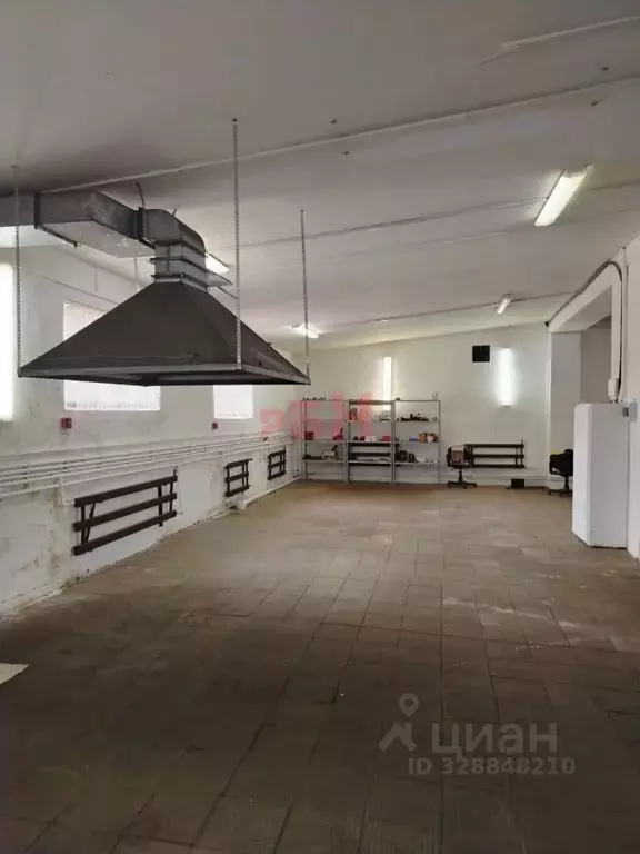 Производственное помещение в Пензенская область, Пенза ул. Литвинова ... - Фото 1