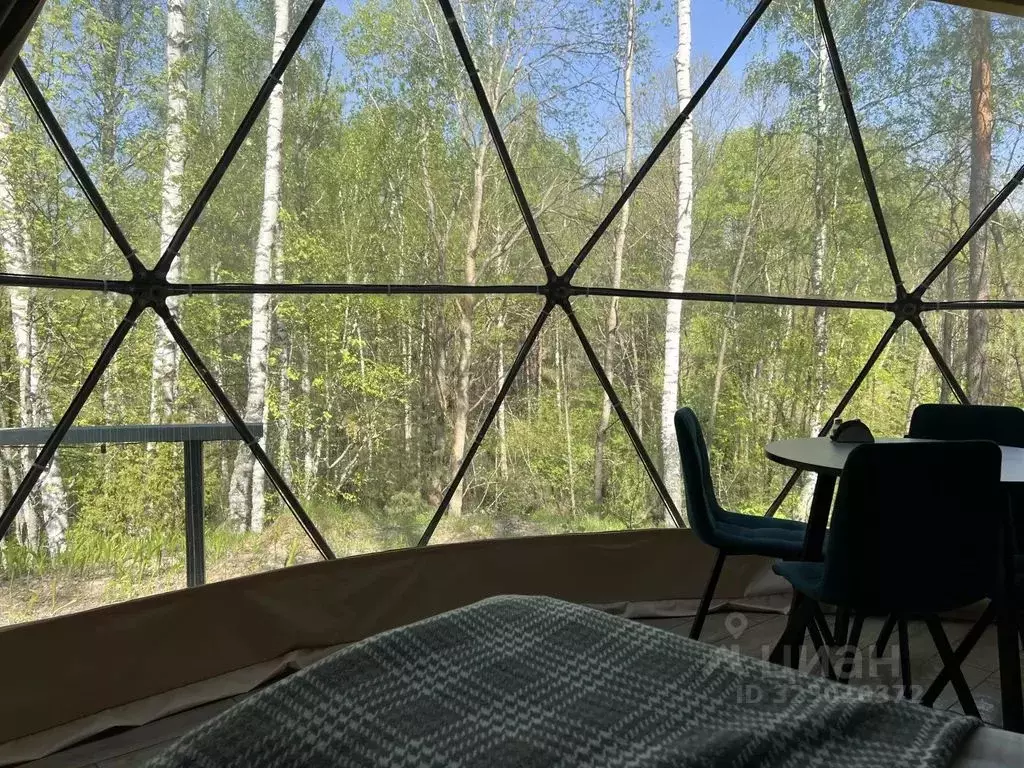 Дом в Рязанская область, Рязанский район, Мурминское с/пос, с. Семкино ... - Фото 2