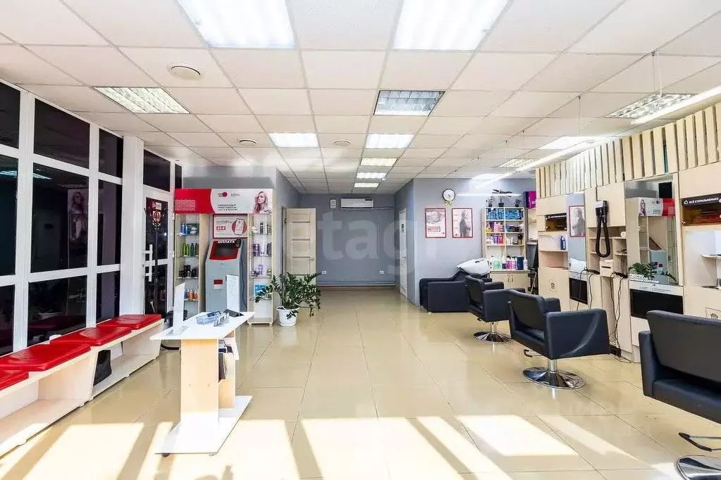 Офис в Амурская область, Благовещенск Театральная ул., 57 (31 м) - Фото 2