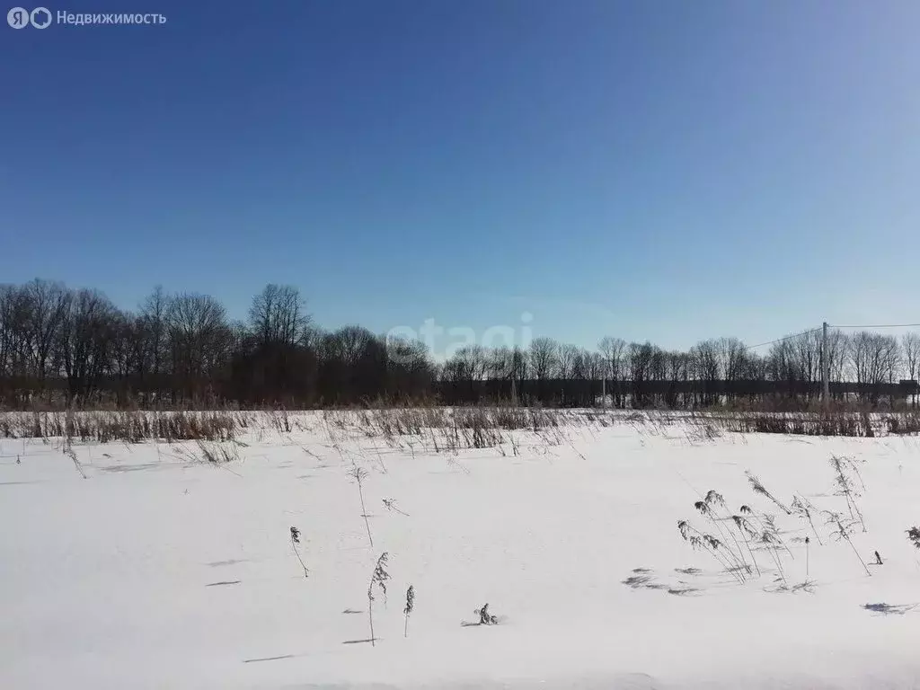 Участок в Ульяновск, СНТ Сокольники (4.6 м) - Фото 1