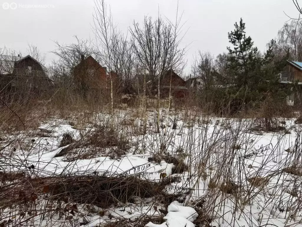 Участок в Московская область, городской округ Подольск, СНТ Ручейки ... - Фото 0