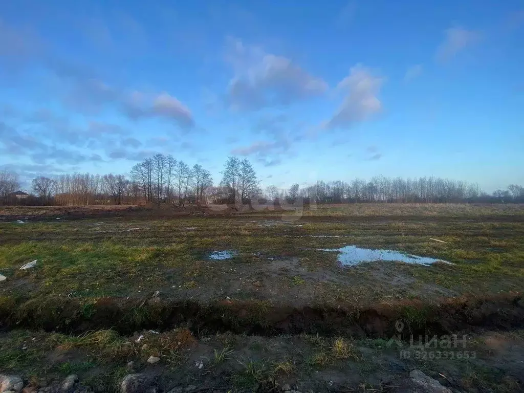 Участок в Калининградская область, Гурьевский муниципальный округ, ... - Фото 2