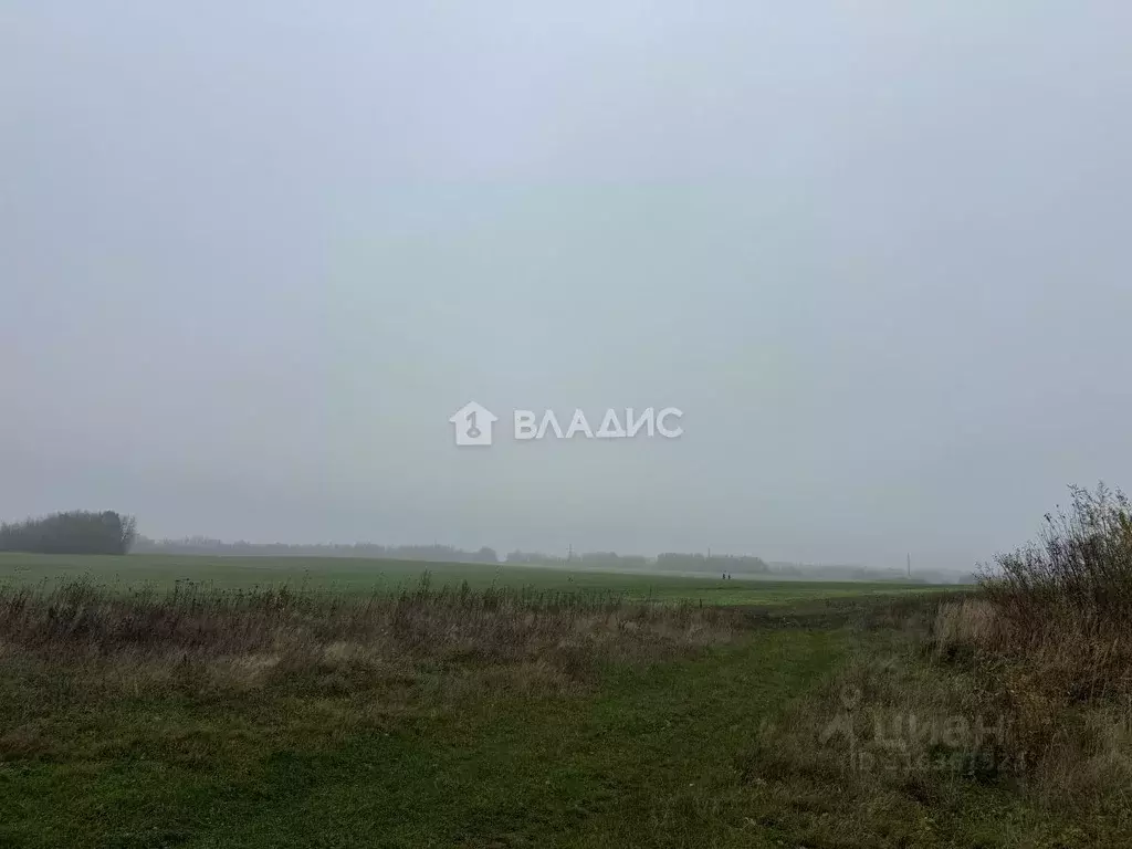 Участок в Калининградская область, Зеленоградский муниципальный округ, ... - Фото 1