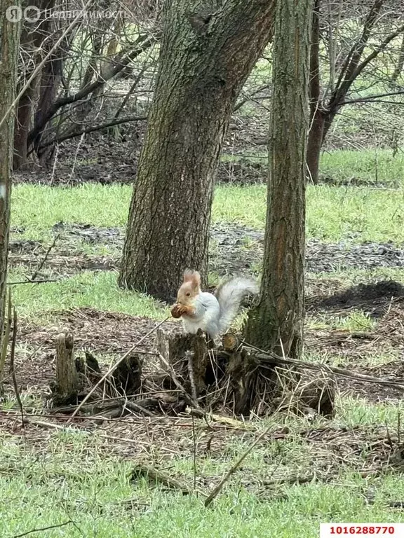 Дом в Кореновск, Короткая улица (34.8 м) - Фото 1