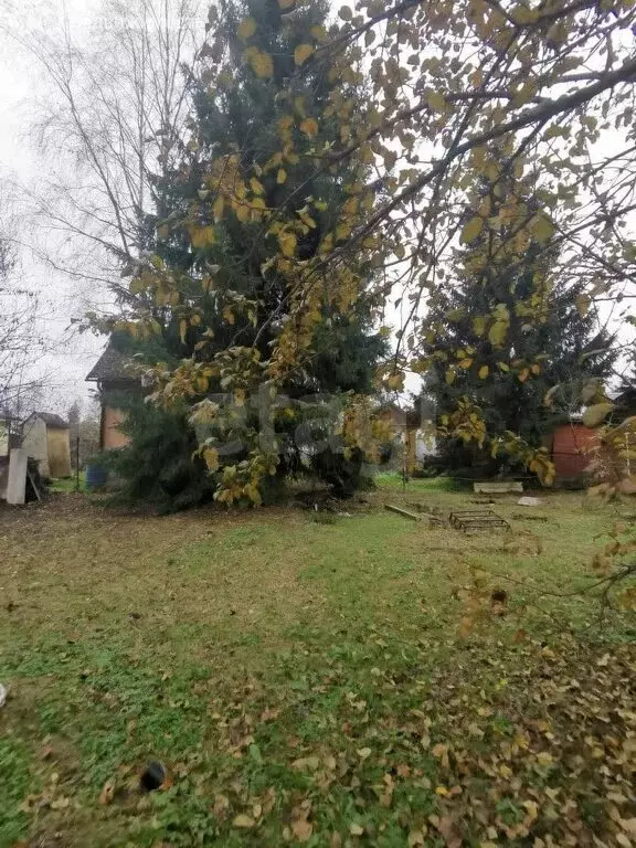 Участок в Калужская область, Жуковский муниципальный округ, сельское ... - Фото 2