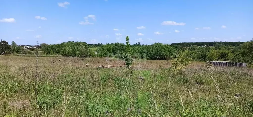 Участок в Белгородская область, Губкинский городской округ, с. ... - Фото 1