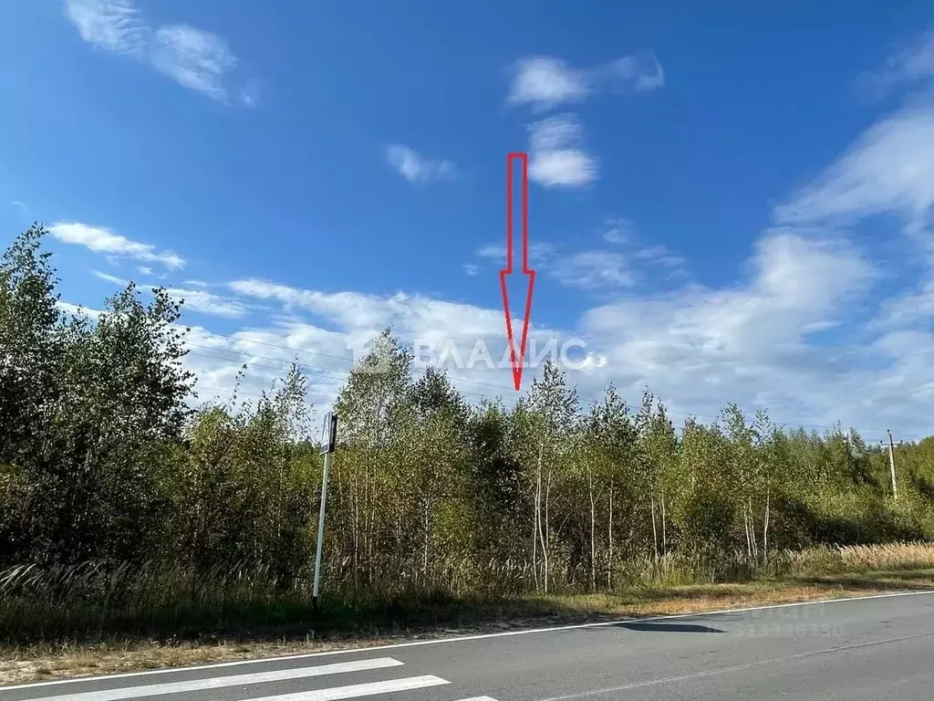 Участок в Владимирская область, Судогодский район, Лавровское ... - Фото 1