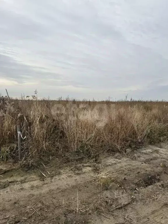 Участок в Тюменская область, Тобольский муниципальный округ, Газовик ... - Фото 2