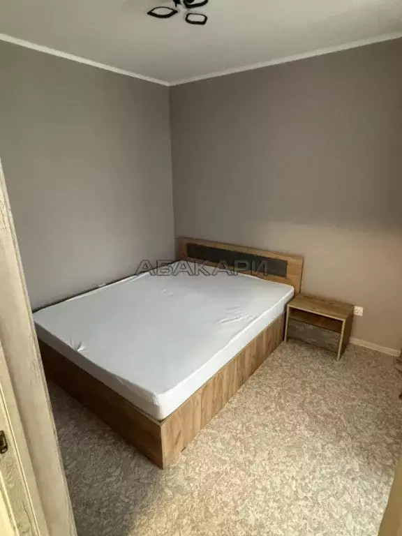 2-к кв. Красноярский край, Красноярск Лесопарковая ул., 43 (30.0 м) - Фото 2