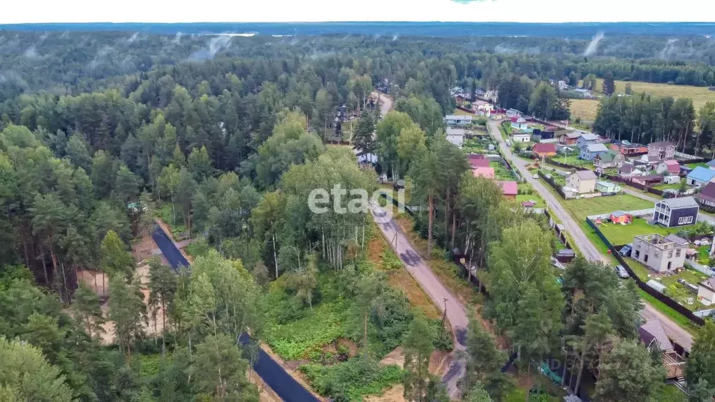 Участок в Ленинградская область, Всеволожский район, Куйвозовское ... - Фото 0