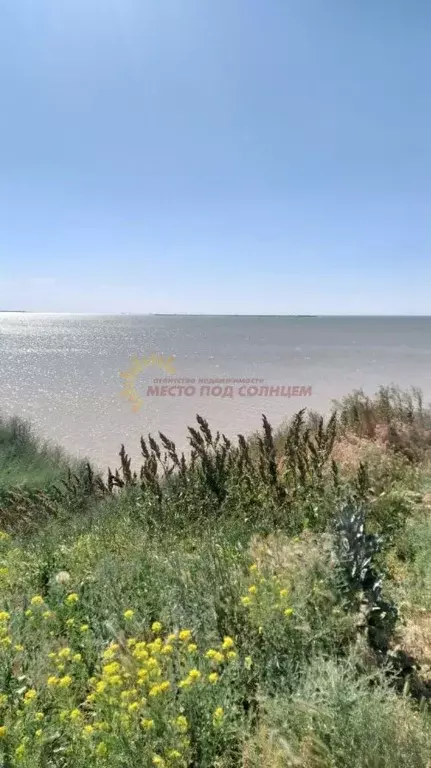 Участок в Краснодарский край, Щербиновский район, Шабельское с/пос, с. ... - Фото 1