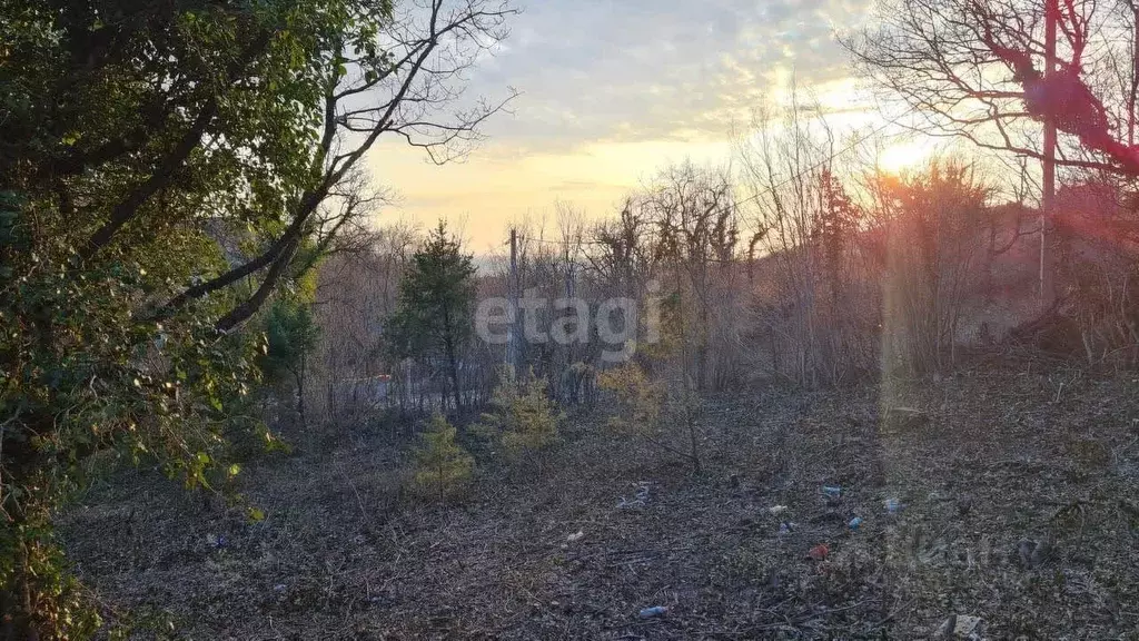 Участок в Краснодарский край, Новороссийск городской округ, с. Южная ... - Фото 0
