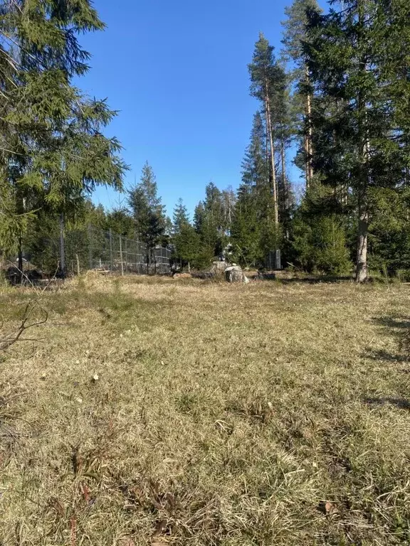 Участок в Ленинградская область, Выборгский район, Полянское с/пос, ... - Фото 2