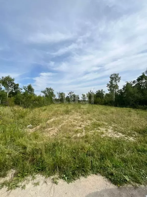 Участок в Амурская область, Благовещенский район, с. Кантон-Коммуна  ... - Фото 2