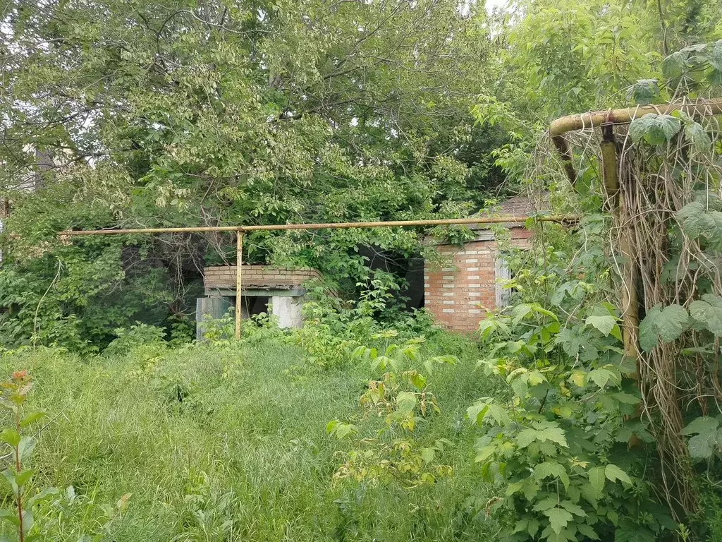 Дом 56 м на участке 9 сот. - Фото 1
